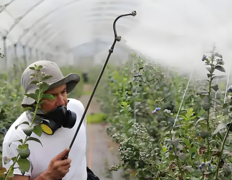 �����r(n��ng)ˎ